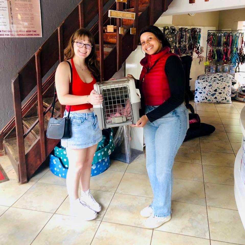kittyhavens.co.za 615538165