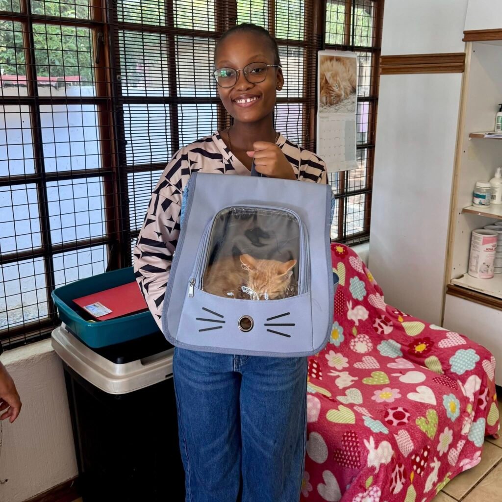 kittyhavens.co.za 625360466