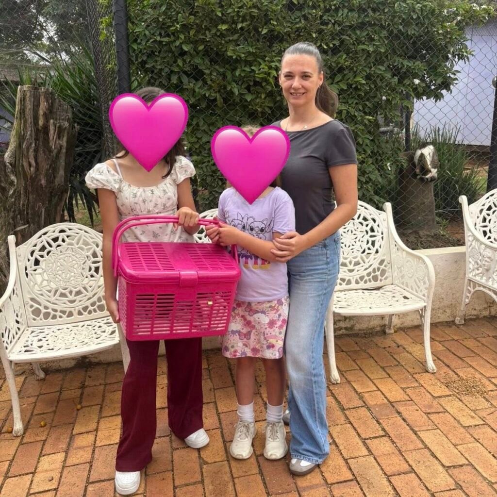 kittyhavens.co.za 651785058